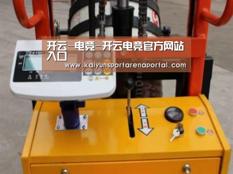 开云电竞官网案例展示三(图1)